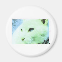 Cat eyes are so captivating fridge magnets