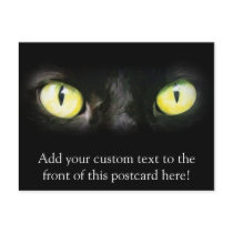 Cat Eyes, Black and Yellow Stare Postcards