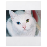Cat Eyes flyers