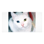 Cat Eyes Customized Photo Card