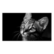 Cat Face Business Card Template