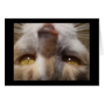 cat face greeting card
