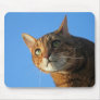 cat face mousepad