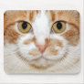 Cat face mouse pads