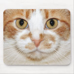 Cat face mousepads