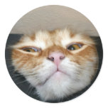 Cat face stickers