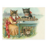 cat family postcard