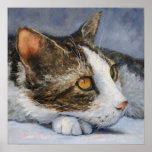 Cat Fine Art Print