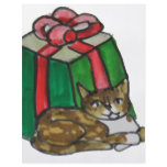 Cat Gift flyers