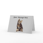 Cat Greeting Card