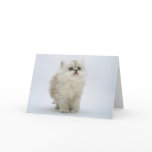 Cat Greeting Card