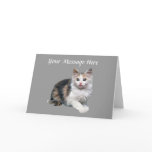 Cat Greeting Card