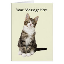 Cat Greeting Card