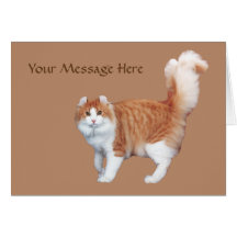 Cat Greeting Card