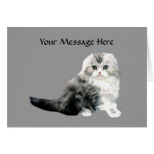 Cat Greeting Card