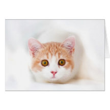 CAT GREETING CARD