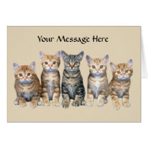 Cat Greeting Card