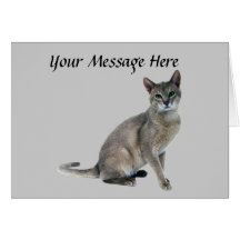 Cat Greeting Card
