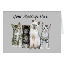 Cat Greeting Card