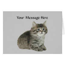 Cat Greeting Card