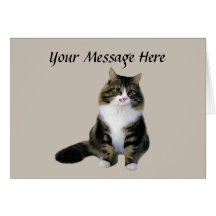 Cat Greeting Card