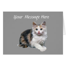Cat Greeting Card