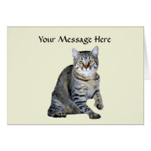 Cat Greeting Card