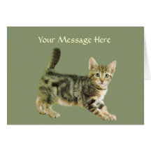 Cat Greeting Card