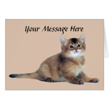 Cat Greeting Card