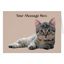 Cat Greeting Card