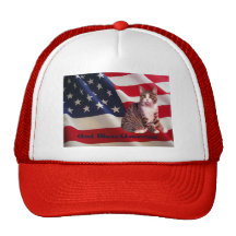 Cat Hat God Bless America