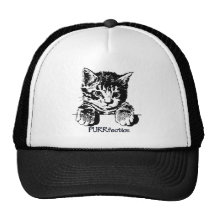 Cat Hat Purrfection
