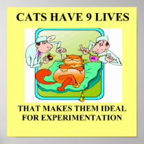 cat haters biology joke