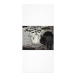 CAT HUMOR RACK CARDS
