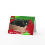 Cat In Box Christmas Card