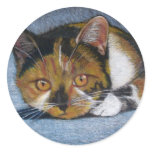CAT IN COLOR PENCIL: STICKERS