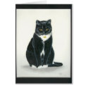 Cat in coloured Pencil cards