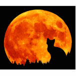 Cat in full orange Moon photo sculptures
