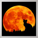 Cat in full orange Moon posters
