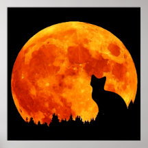 Cat in full orange Moon Print