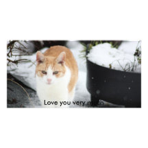 Cat in snowy garden, Love you very much Picture Card