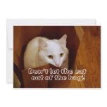 Cat in the Bag Surprise Birthday Party Invitation
