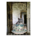 Cat in the Cup cards