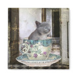 Cat in the Cup magnets