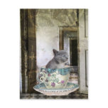 Cat in the Cup postcard