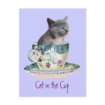 Cat in the Cup postcard