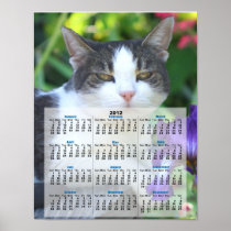 Cat in the garden 2012 calendar poster