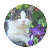 Cat in the garden fridge magnets
