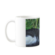 Cat in the garden coffee mug