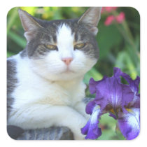 Cat in the garden square sticker